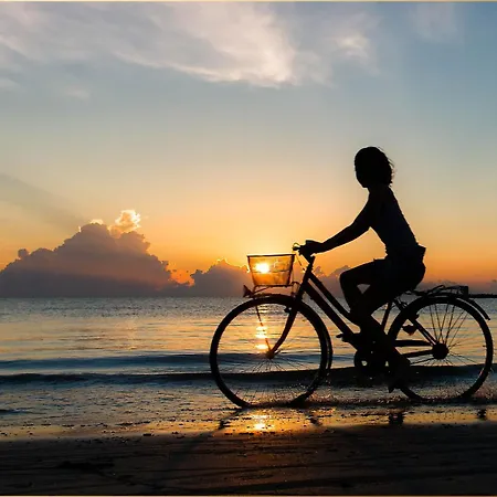 Fischerdorf Im Kiefernwaeldchen Vakantiehuis